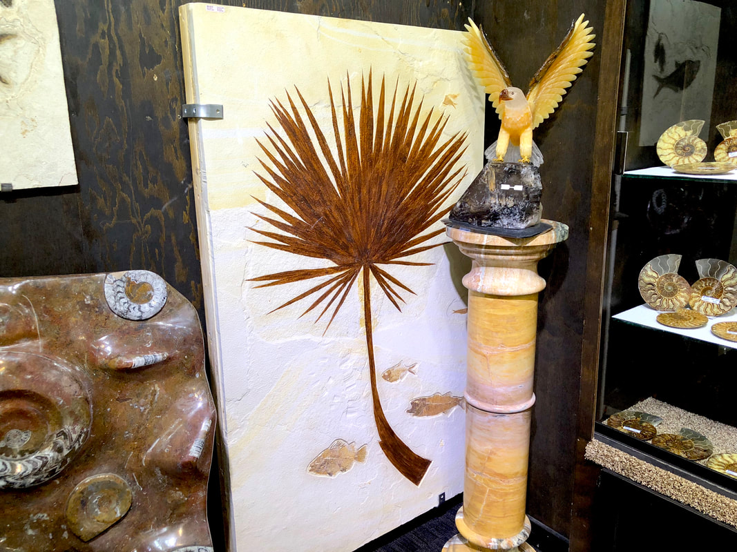 Palm Leaf | Dinosaur Bones