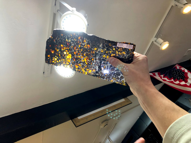 Pirate Gold Coins Treasures of Space: Meteorite Slice Pallasite 2