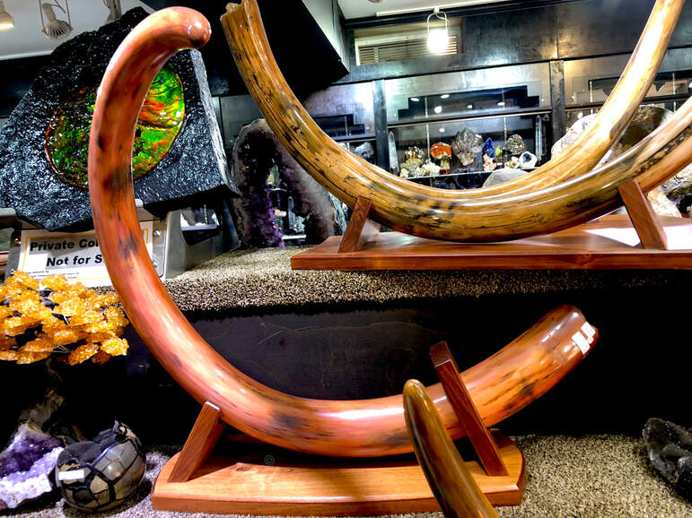 Spain 1 Escudo 1504-1555 "Incredible Detail" RAW 6