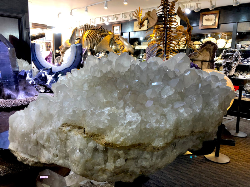 Pirate Gold Coins Treasures of the Earth - Crystal on Spinning Stand 6