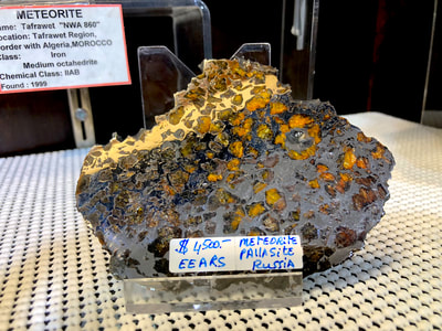 Meteorite Slice Pallasite - Pirate Gold Coins Treasures of Space 2