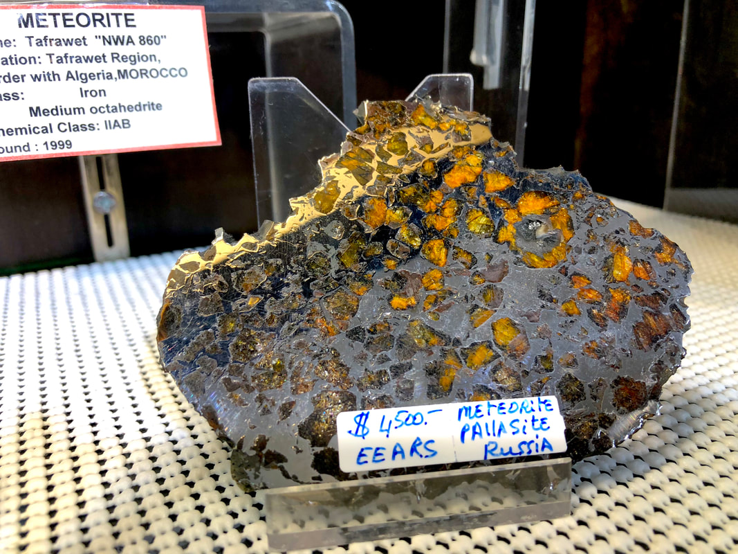 Meteorite Slice Pallasite - Pirate Gold Coins Treasures of Space