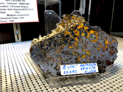 Meteorite Slice Pallasite - Pirate Gold Coins Treasures of Space 4