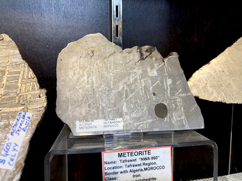 Pirate Gold Coins Treasures of Space ~ Iron Meteorite Slice 5