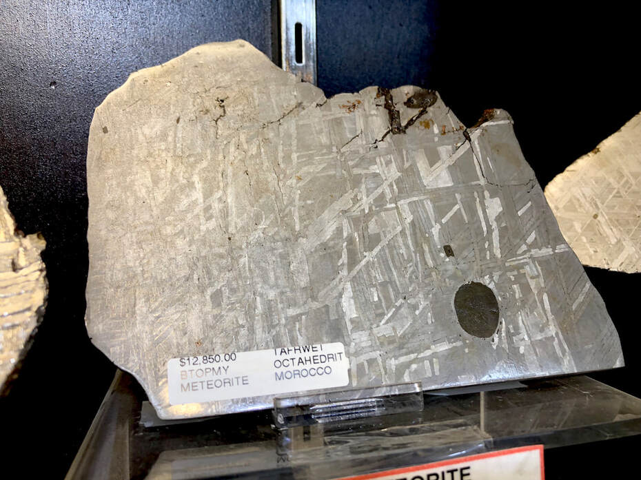 Pirate Gold Coins Treasures of Space ~ Iron Meteorite Slice