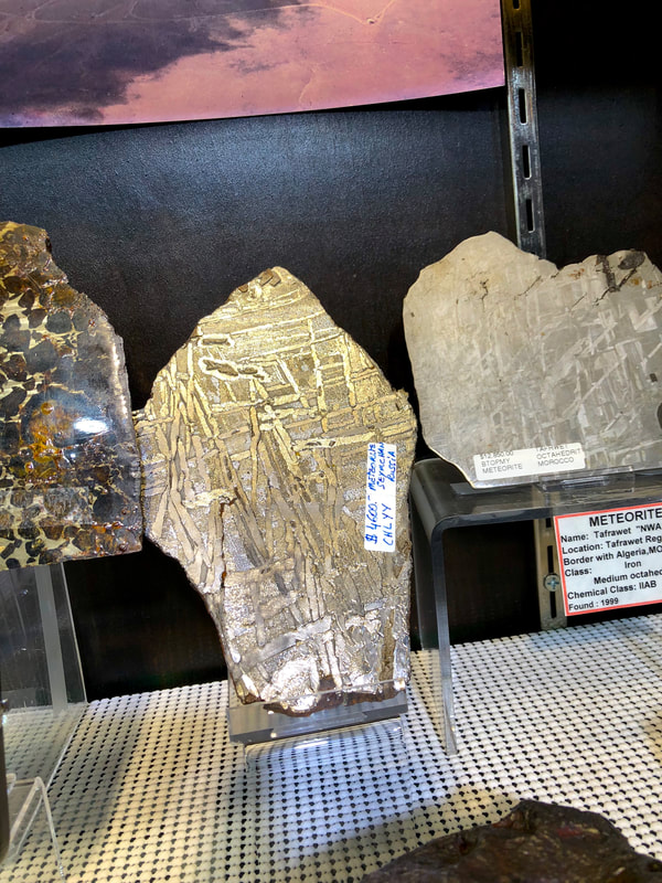 Meteorite Slice from Russia - Pirate Gold Coins Treasures of Space 5