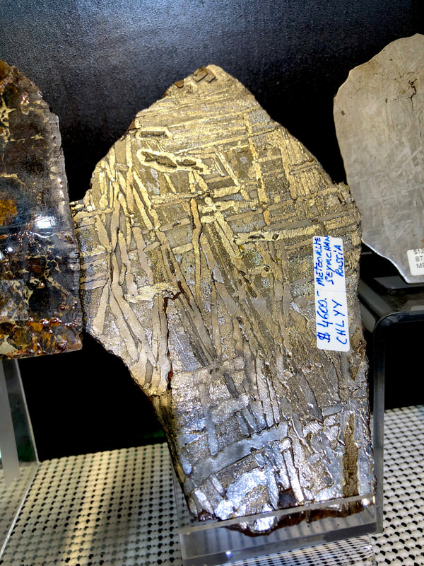 Meteorite Slice from Russia - Pirate Gold Coins Treasures of Space 2