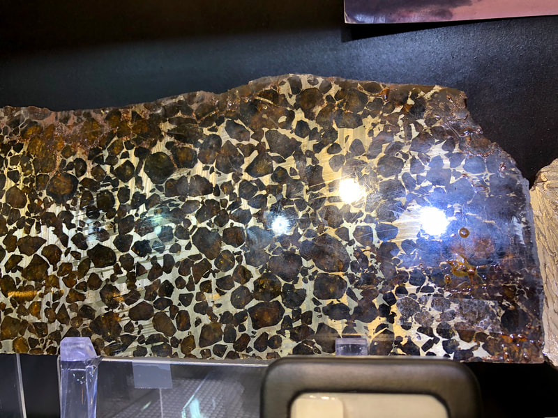Pirate Gold Coins Treasures of Space: Meteorite Slice Pallasite 5