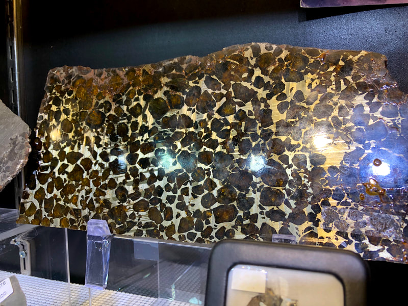 Pirate Gold Coins Treasures of Space: Meteorite Slice Pallasite 6