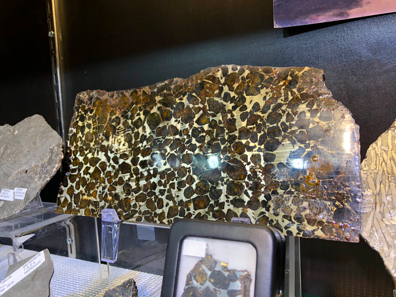 Pirate Gold Coins Treasures of Space: Meteorite Slice Pallasite 7