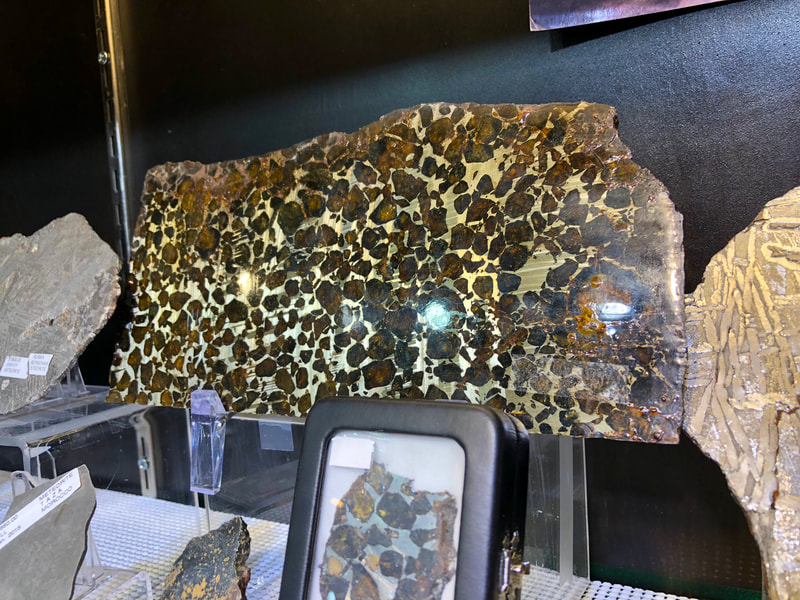 Pirate Gold Coins Treasures of Space: Meteorite Slice Pallasite 8