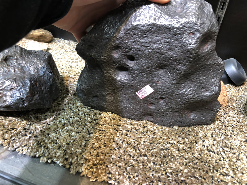 Meteorite - Pirate Gold Coins Treasures of Space 4