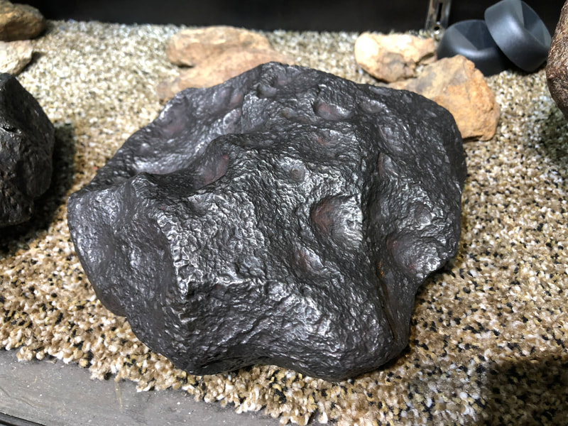 Meteorite - Pirate Gold Coins Treasures of Space 6