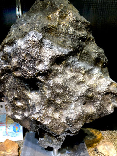 Meteorite Campo Del Cielo - Pirate Gold Coins Treasures of Space 6