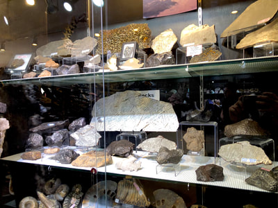 Pirate Gold Coins Treasures of Space ~ Iron Meteorite Slice 4