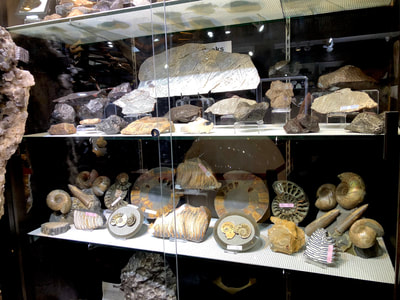 Pirate Gold Coins Treasures of Space ~ Iron Meteorite Slice from Russia 6