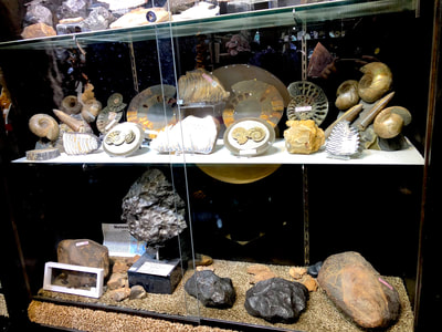 Meteorites - Pirate Gold Coins Treasures of Space 8