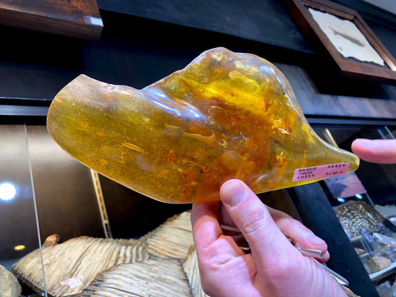 Fossilized Amber | Dinosaur Bones 3