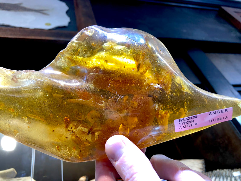 Fossilized Amber | Dinosaur Bones 7