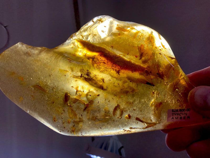 Fossilized Amber | Dinosaur Bones 4