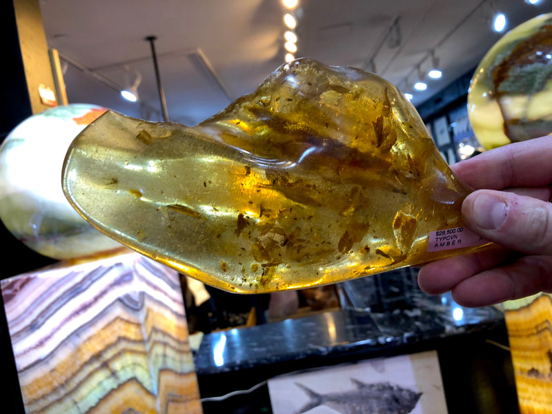 Fossilized Amber | Dinosaur Bones 9