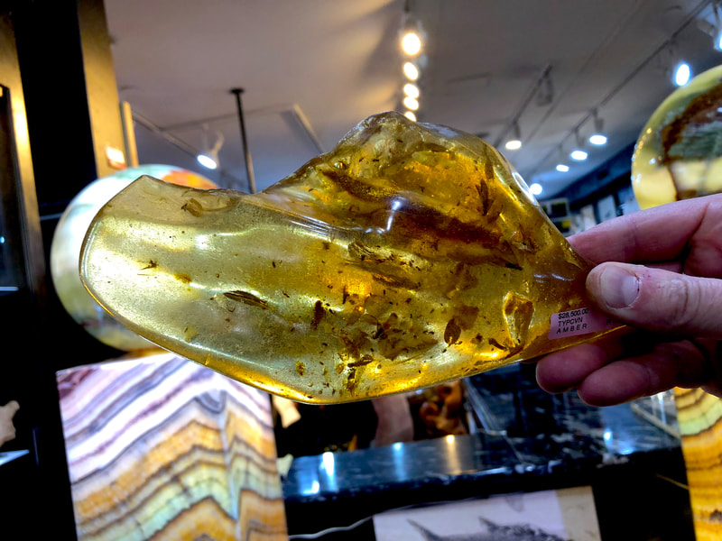 Fossilized Amber | Dinosaur Bones 11