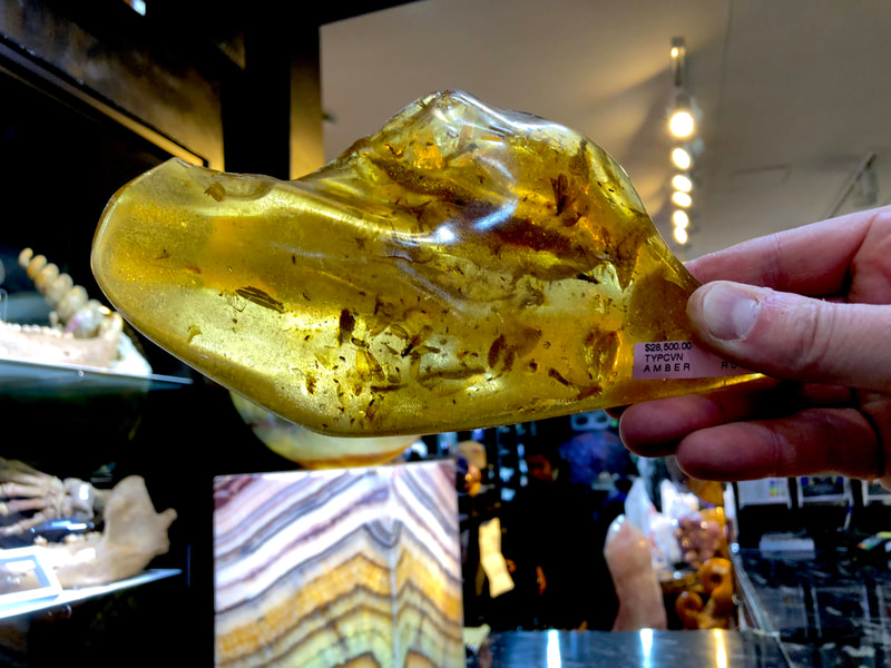 Fossilized Amber | Dinosaur Bones 12