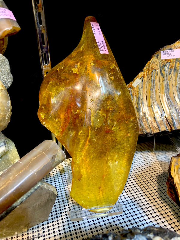 Fossilized Amber | Dinosaur Bones 6