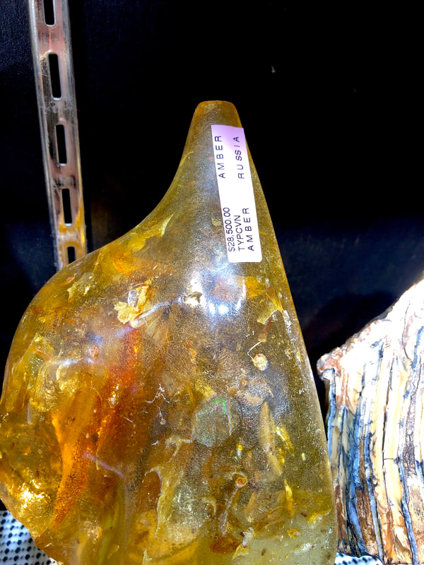 Fossilized Amber | Dinosaur Bones 15