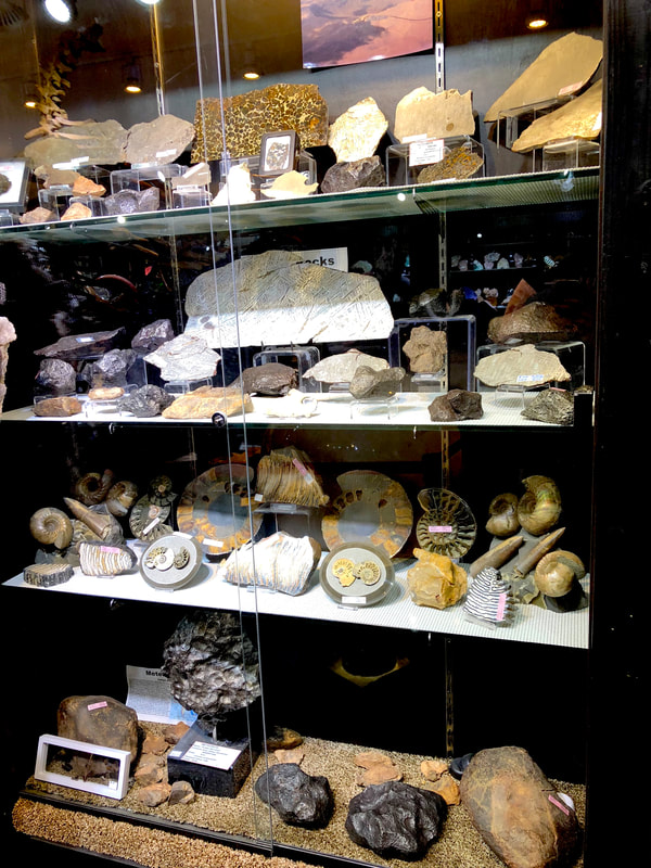 Pirate Gold Coins Treasures of Space: Meteorite 6