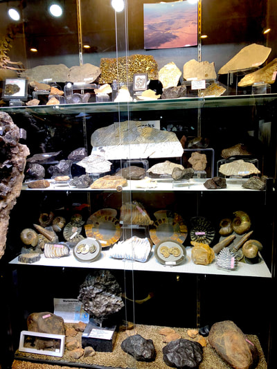 Meteorite Slice Pallasite - Pirate Gold Coins Treasures of Space 6