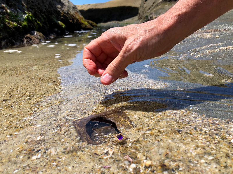 Pirate Gold Coins Treasures of the Earth - Amethyst Ring 17