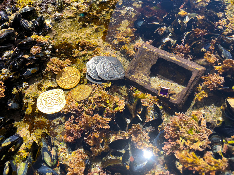 Pirate Gold Coins Treasures of the Earth - Amethyst Ring 11
