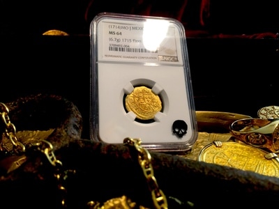 Raptor Jaw | Dinosaur Bones 4