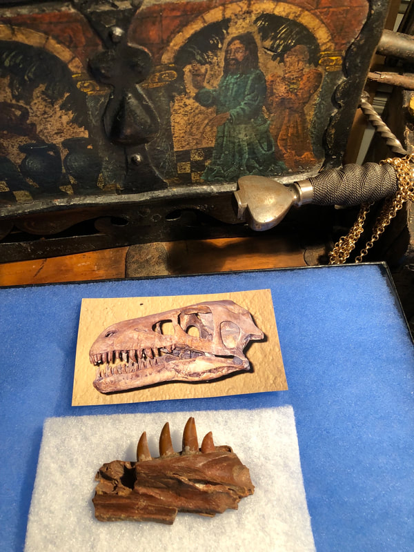 Raptor Jaw | Dinosaur Bones 8