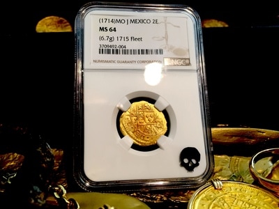 Mesosaurus Aquatic Lizard Pirate Gold Coins Treasures of the Jurassic 3