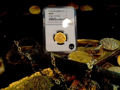 Mesosaurus Aquatic Lizard Pirate Gold Coins Treasures of the Jurassic 7