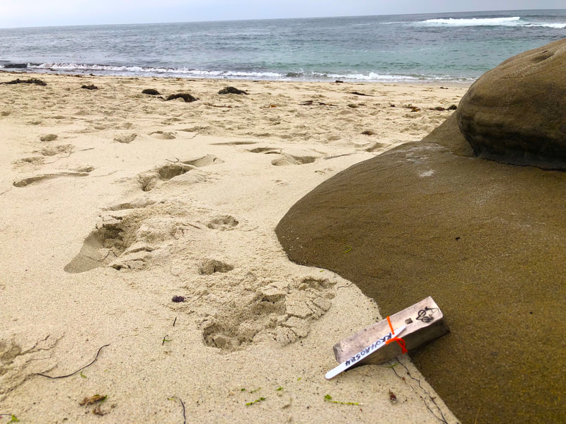 Dutch East India Trading Co Shipwreck Treasure Bar 1739 VOC 12