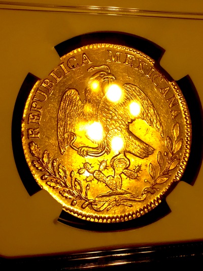 ​MEXICO 1828 GO MJ "FINEST OF ONLY 4 KNOWN!" 8 ESCUDOS NGC 61 PROOF LIKE GOLD COIN 5