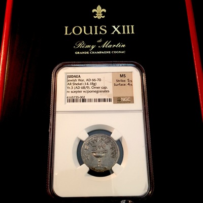 JUDAEA 66AD  SHEKEL  "JEWISH WAR- GREAT REVOLT"  2 YR  ~ NGC Ch XF 5x3 ~  JERUSALEM COIN  JEW 3