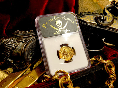 Hyphalosaurus Wal Displayl | Dinosaur Bones 4