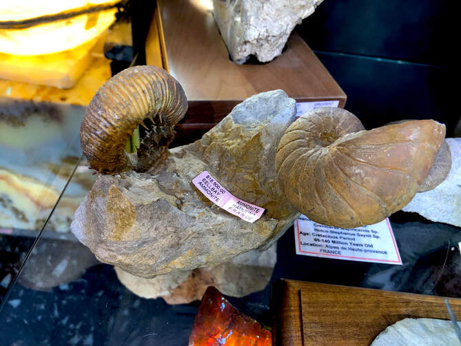 Bolivia Shipwreck Coin Jewelry 22