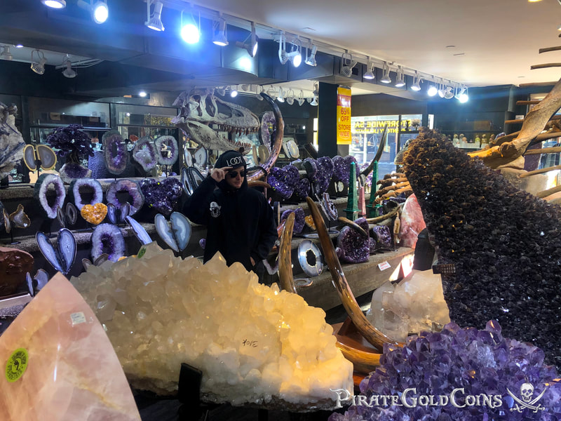 Replica T-Rex Skull | Dinosaur Bones 6