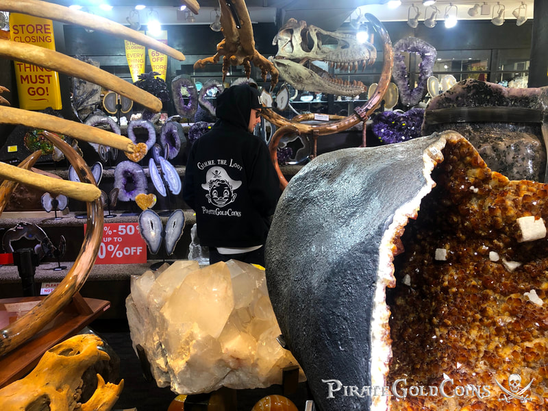 Replica T-Rex Skull | Dinosaur Bones 7