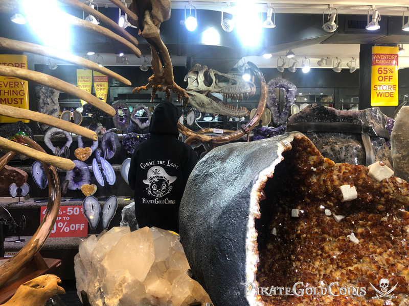 Replica T-Rex Skull | Dinosaur Bones 9