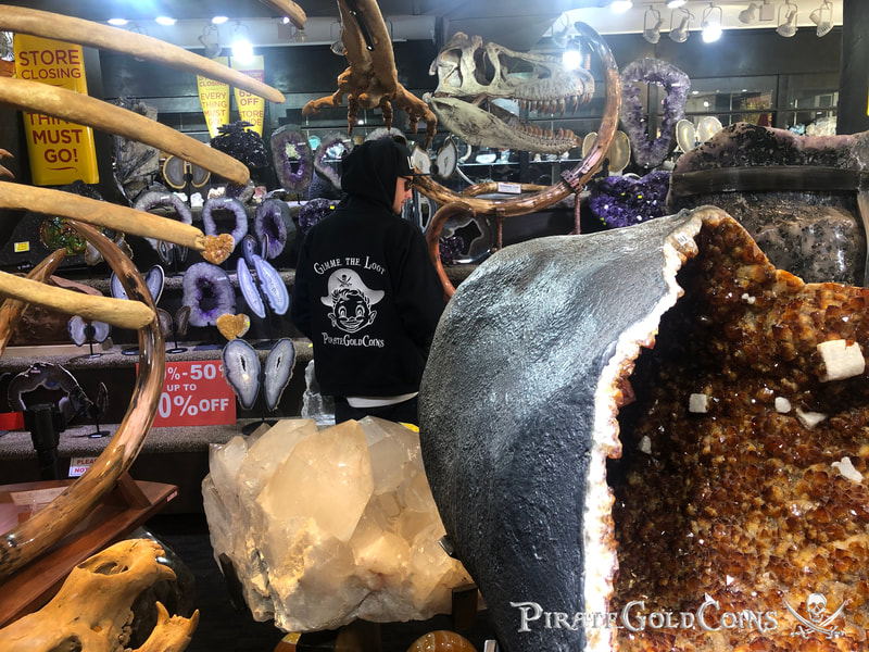 Replica T-Rex Skull | Dinosaur Bones 10