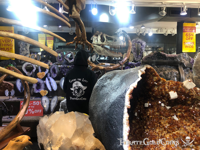 Replica T-Rex Skull | Dinosaur Bones 11