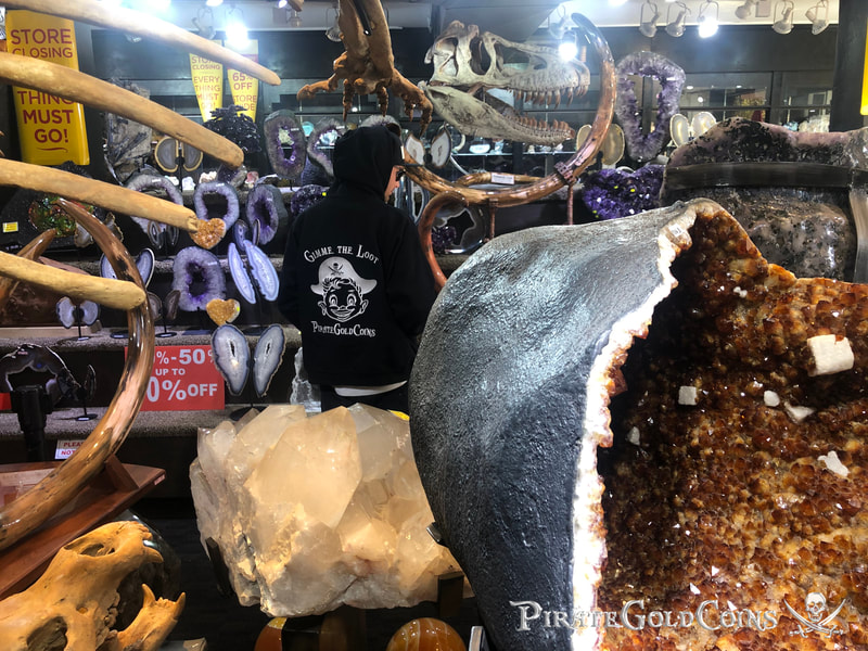 Replica T-Rex Skull | Dinosaur Bones 12