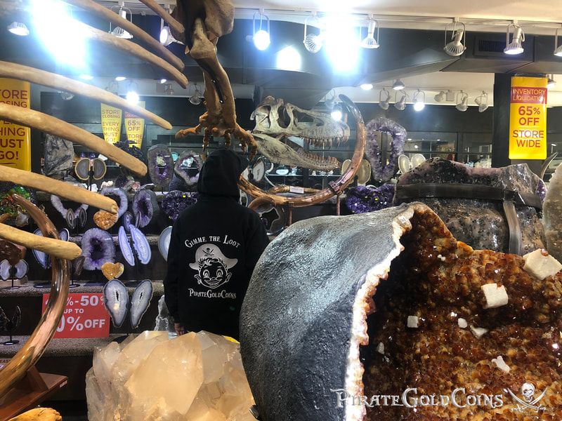 Replica T-Rex Skull | Dinosaur Bones 13