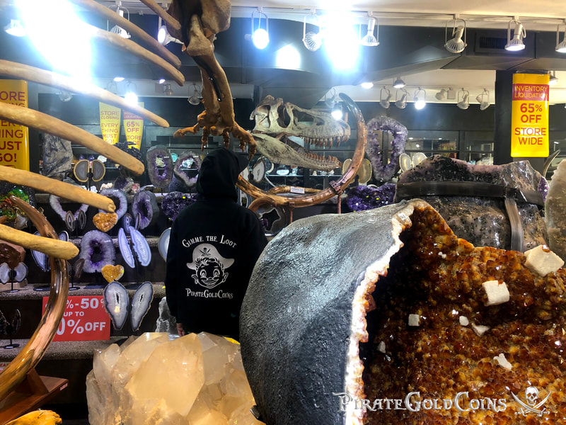 Replica T-Rex Skull | Dinosaur Bones 14